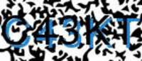 grafischer Sicherheitscode